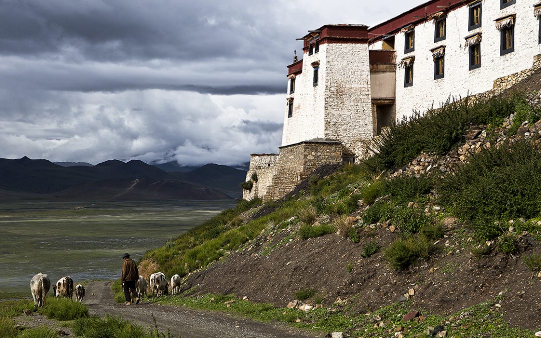 Justice For Tibetan Nomads