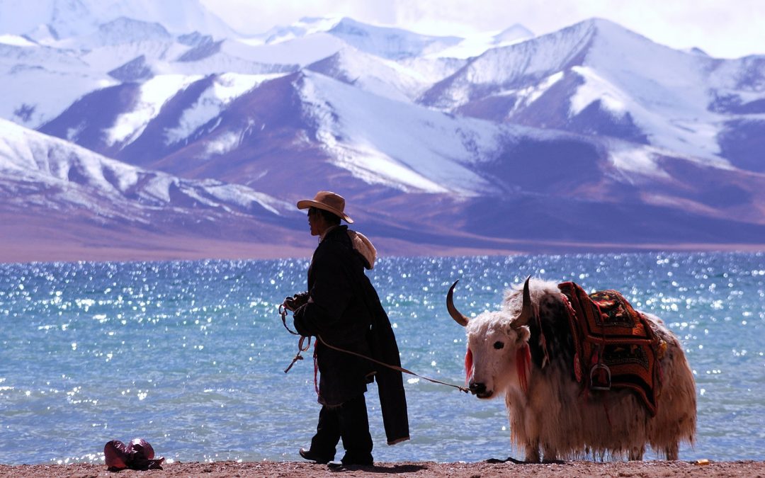 Report busts China’s myth on protecting Tibet