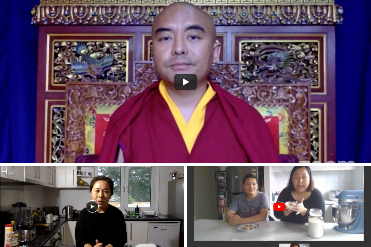 Summary of our online shows