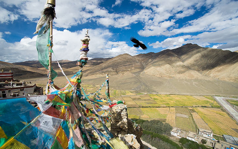 Yeshi’s story: protest and punishment in Tibet